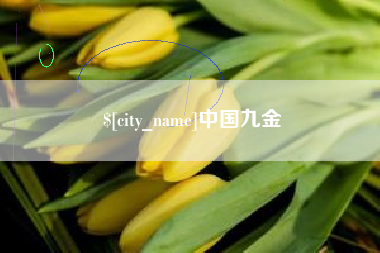 漯河中国九金