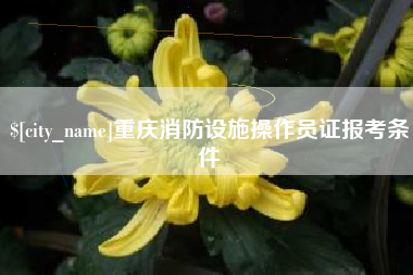漯河重庆消防设施操作员证报考条件
