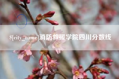 漯河消防救援学院四川分数线