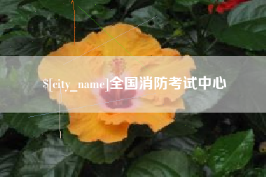 漯河全国消防考试中心