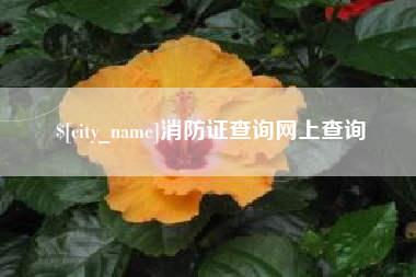 漯河消防证查询网上查询