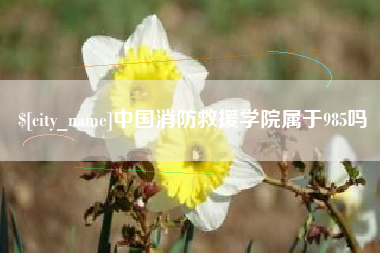 漯河中国消防救援学院属于985吗