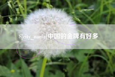 漯河中国的金牌有好多