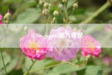 漯河第九金是