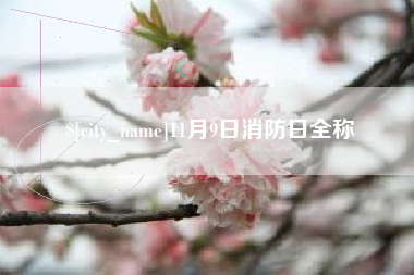 漯河11月9日消防日全称