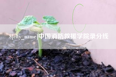 漯河中国消防救援学院录分线