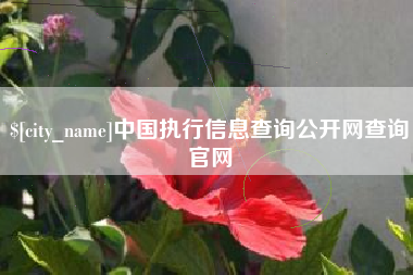 漯河中国执行信息查询公开网查询官网