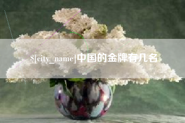 漯河中国的金牌有几名