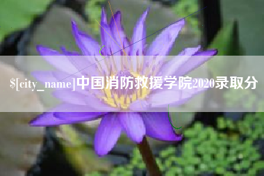 漯河中国消防救援学院2020录取分