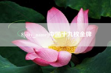 漯河中国十九枚金牌
