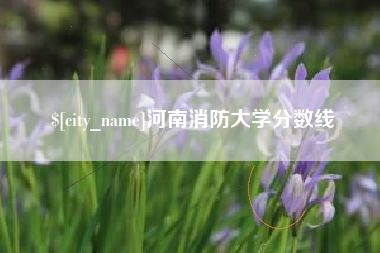 漯河河南消防大学分数线