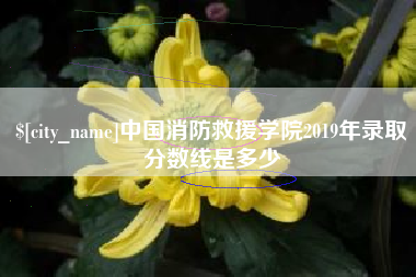 漯河中国消防救援学院2019年录取分数线是多少