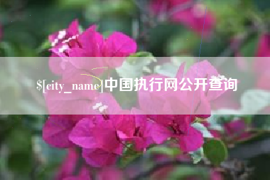 漯河中国执行网公开查询