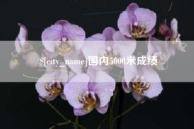漯河国内5000米成绩