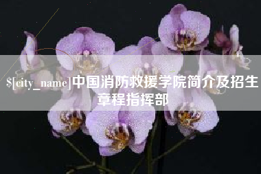 漯河中国消防救援学院简介及招生章程指挥部