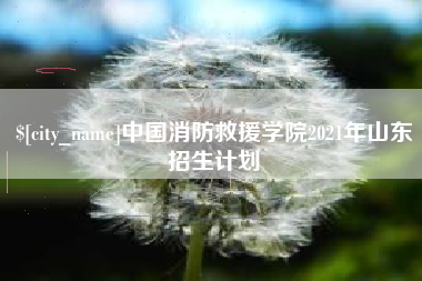 漯河中国消防救援学院2021年山东招生计划