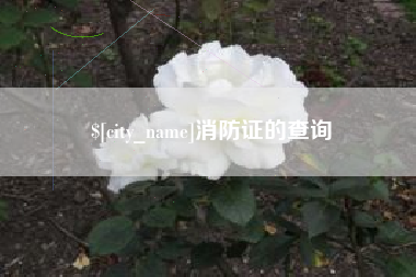 漯河消防证的查询