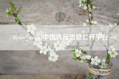 漯河中国执行信息公开平台