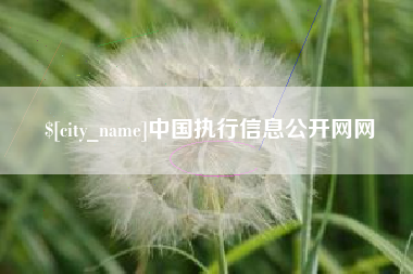 漯河中国执行信息公开网网