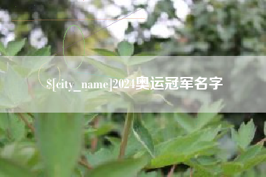漯河2024奥运冠军名字
