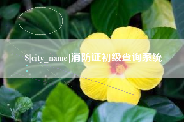 漯河消防证初级查询系统