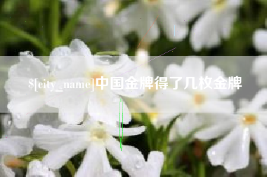 漯河中国金牌得了几枚金牌