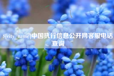 漯河中国执行信息公开网客服电话查询