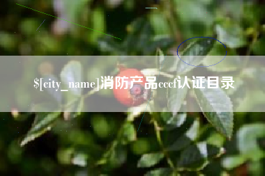 漯河消防产品cccf认证目录
