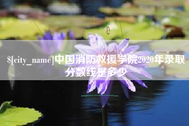 漯河中国消防救援学院2020年录取分数线是多少