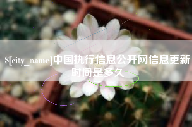 漯河中国执行信息公开网信息更新时间是多久