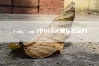 漯河中国消防救援教育网