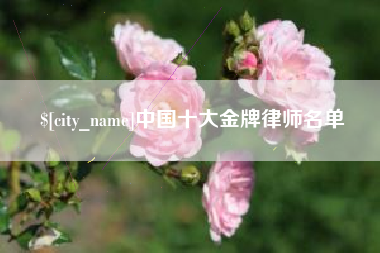 漯河中国十大金牌律师名单