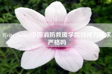 漯河中国消防救援学院对视力要求严格吗