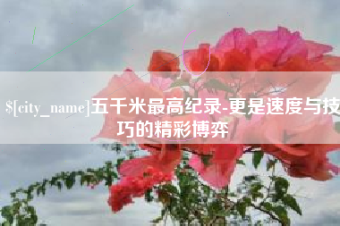 漯河五千米最高纪录-更是速度与技巧的精彩博弈