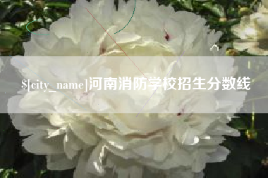 漯河河南消防学校招生分数线