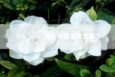 漯河现在中国金牌是多少