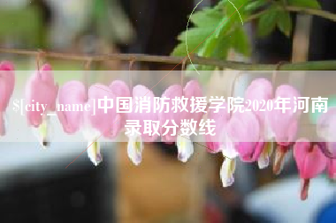 漯河中国消防救援学院2020年河南录取分数线