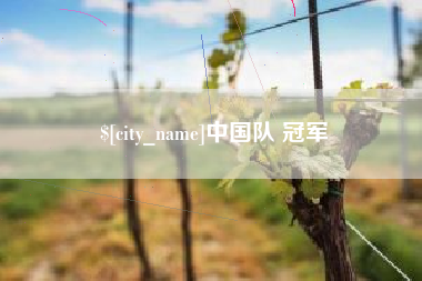 漯河中国队 冠军