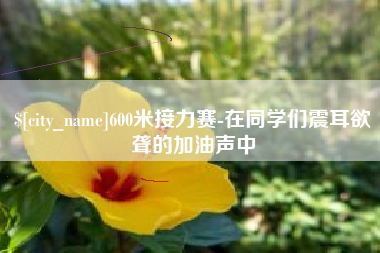 漯河600米接力赛-在同学们震耳欲聋的加油声中