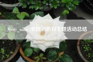 漯河全国消防日主题活动总结