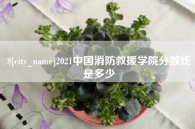 漯河2021中国消防救援学院分数线是多少