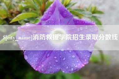 漯河消防救援学院招生录取分数线