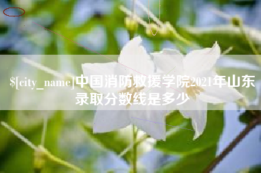 漯河中国消防救援学院2021年山东录取分数线是多少