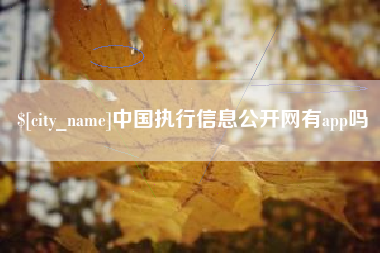 漯河中国执行信息公开网有app吗