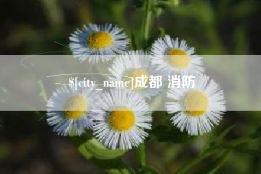 漯河成都 消防