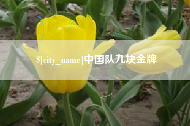 漯河中国队九块金牌