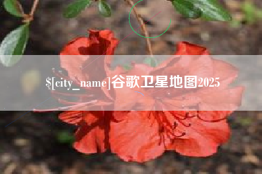漯河谷歌卫星地图2025