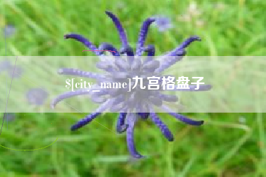 漯河九宫格盘子