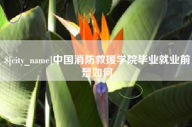 漯河中国消防救援学院毕业就业前景如何