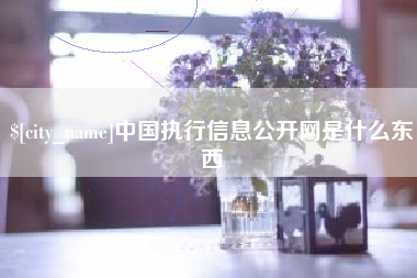 漯河中国执行信息公开网是什么东西